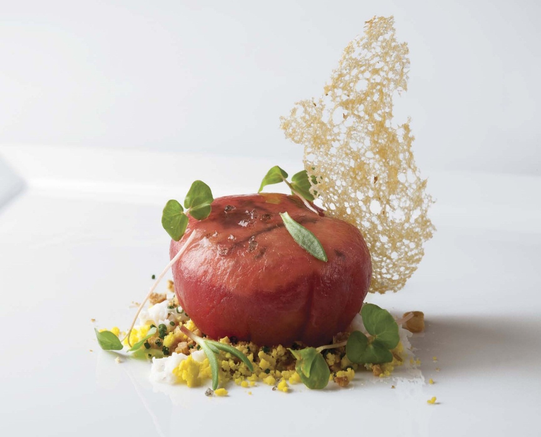 40-سالاد تن ماهی با ماسه طلایی