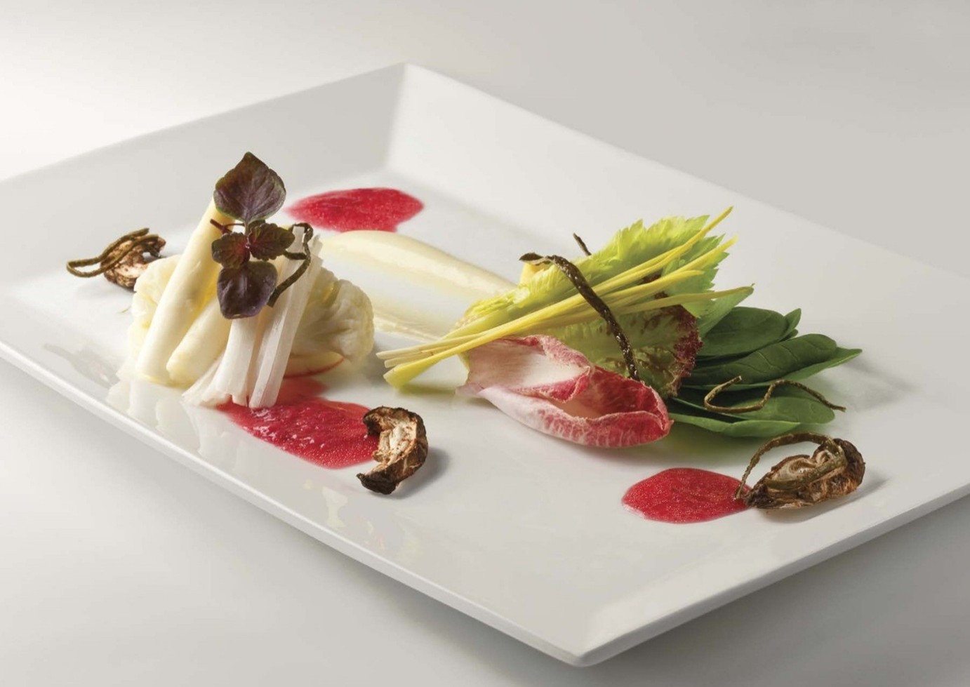 110-سالاد توفوی تازه و سبزیجات فصلی با وینگرت گل داودی قرمز