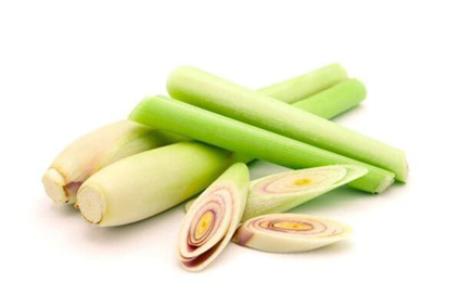 علف لیمو (Lemongrass)