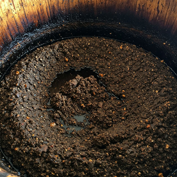 رسوب سرکه (Vinegar Lees)