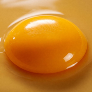 زرده تخم‌مرغ (Egg Yolks)
