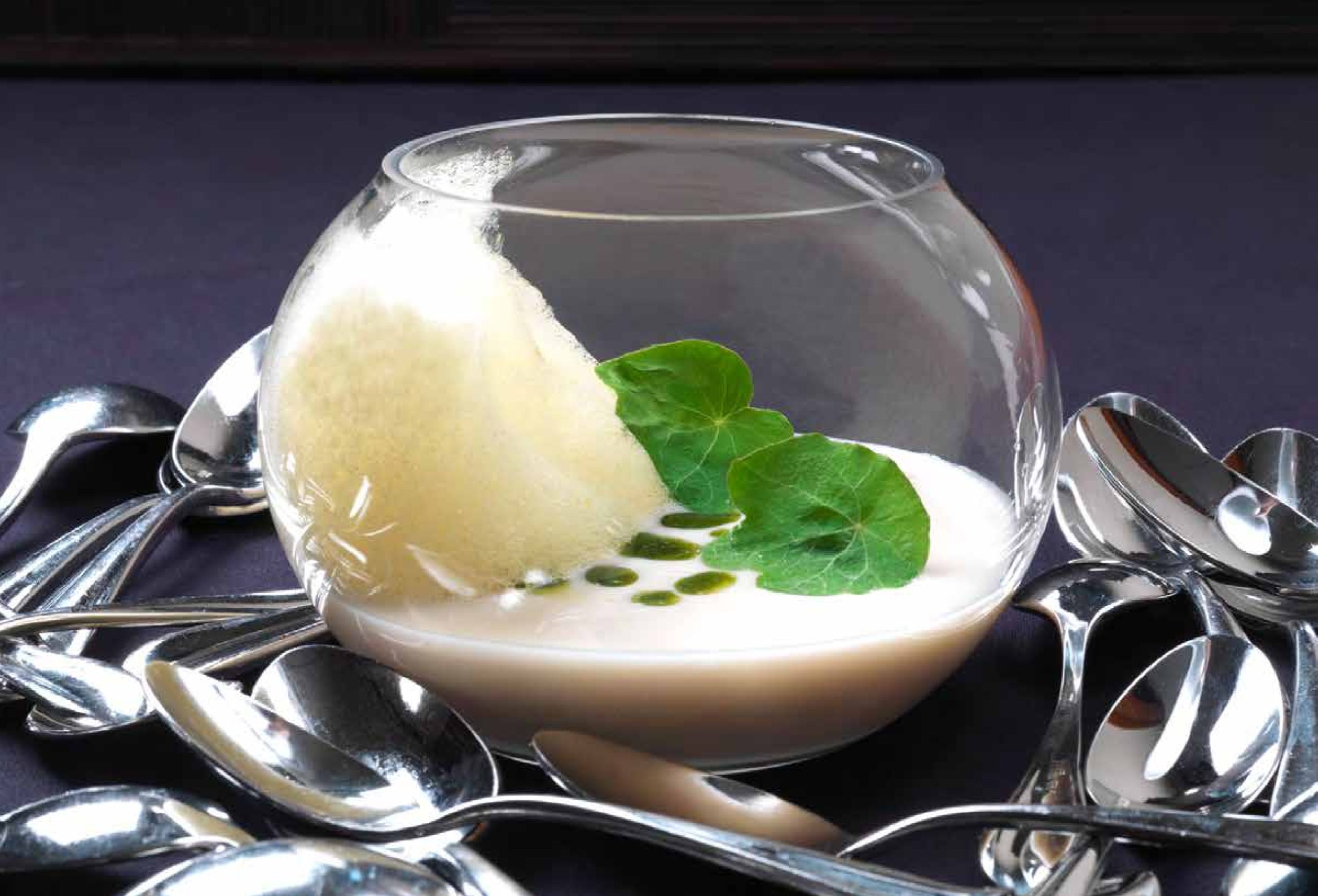 26-سوپ ریشه جعفری با اسکالوپ خلیج  Parsley Root Soup with Bay Scallops