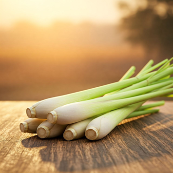 علف لیمو  (Lemongrass) 