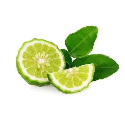 لیموی کفیر  (Kaffir Lime) 