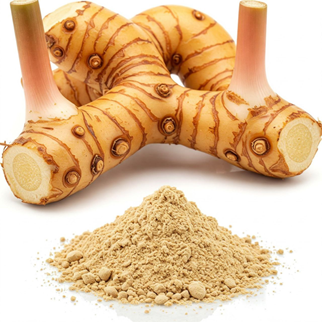 گالانگال  (Galangal)