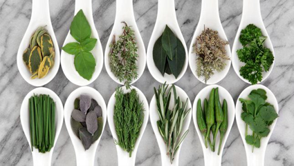 گیاهان معطر (Fines Herbes)