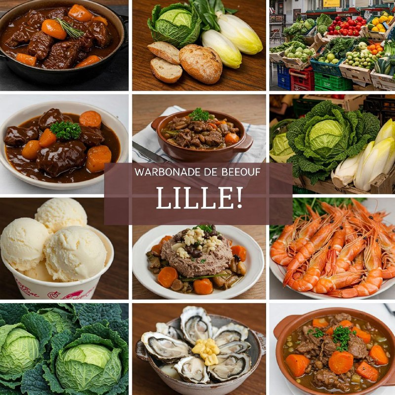 124-نورهای شمالی لیل   THE NORTHERN LIGHTS OF LILLE 