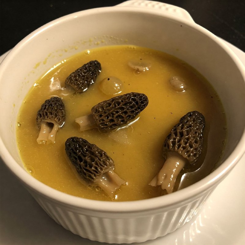 167-سس مورل با طعم عمیق و خامهای Mrel Cream Sauce