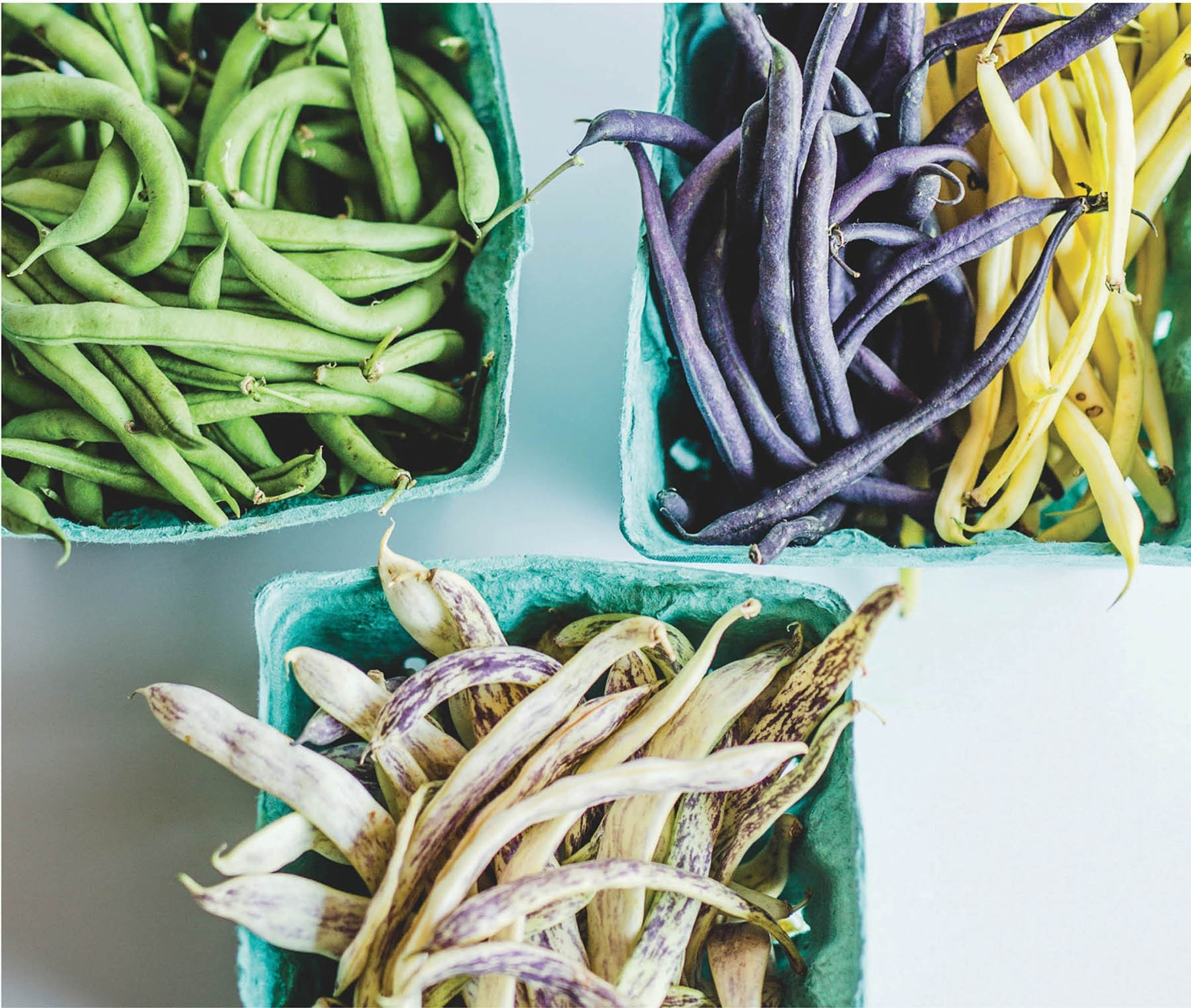 سالاد گوجه و لوبیاسبز با فریکه، پسته و سس لیمو–فِتا