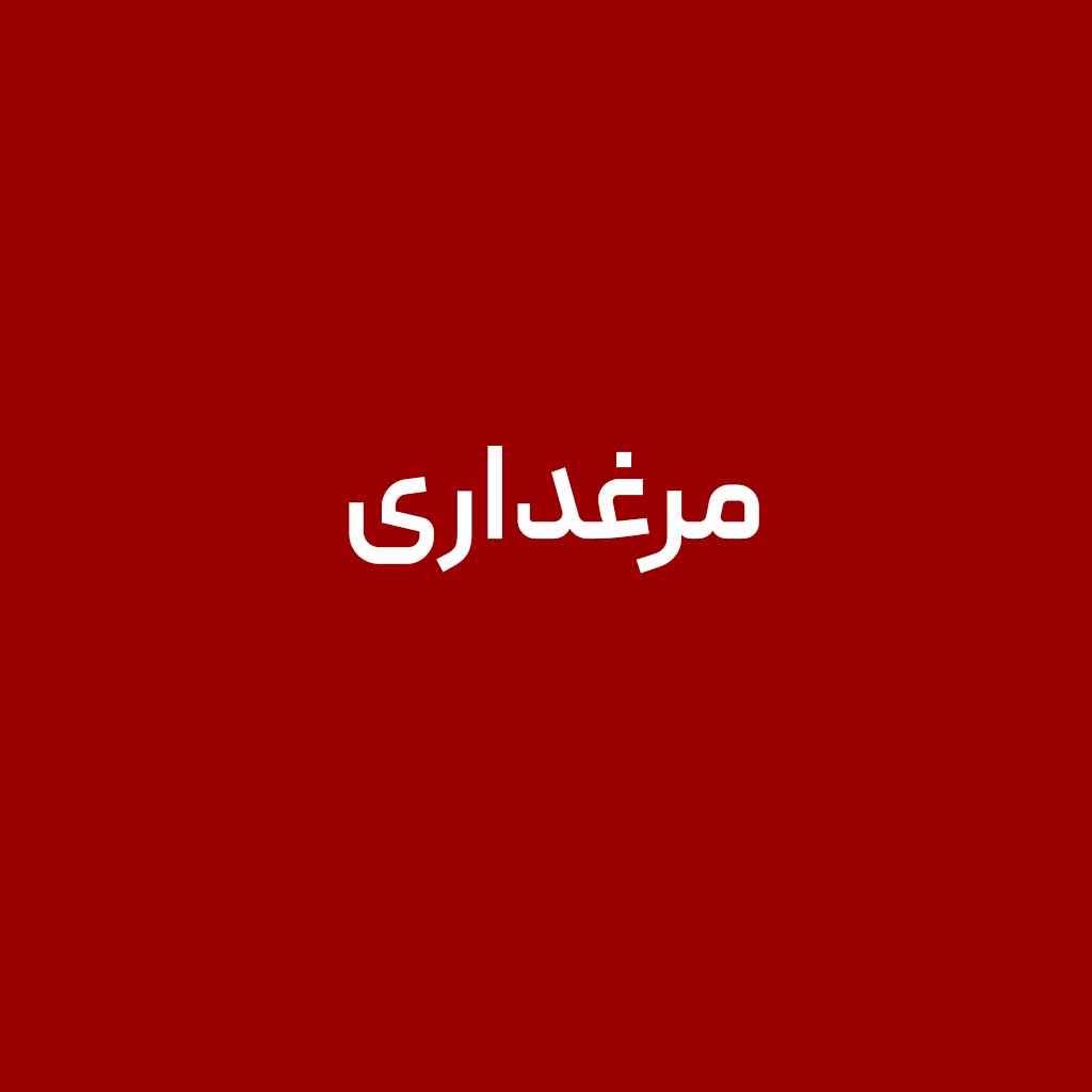 مرغداری