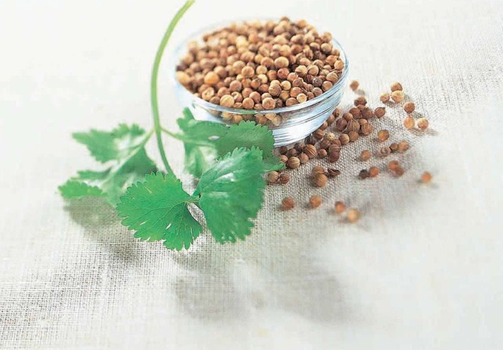 گیاهان دارویی و ادویه‌ها  Herbs & Spices