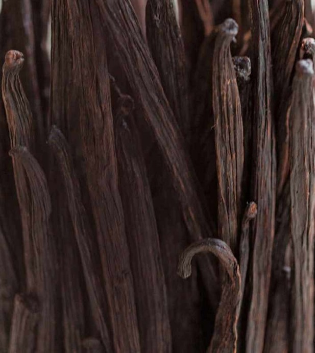 پیر پوآور و کمپانی هند شرقی Pierre Pouvier and the East India Company