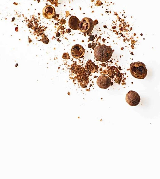 آل‌اسپایس – کاربردهای سنتی و ایده‌های آشپزی