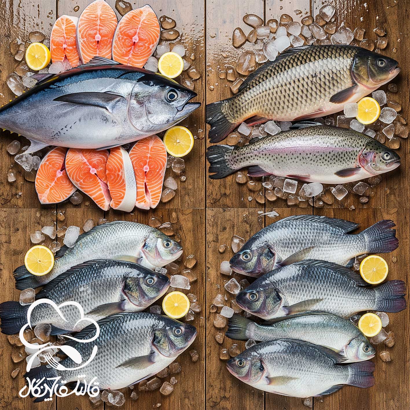 تفاوت ماهیان دریایی، آب شیرین و پرورشی