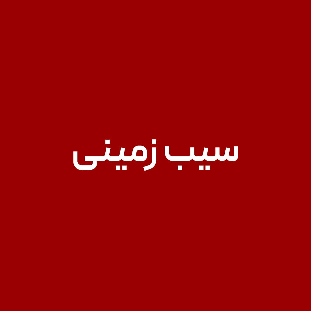 سیب زمینی