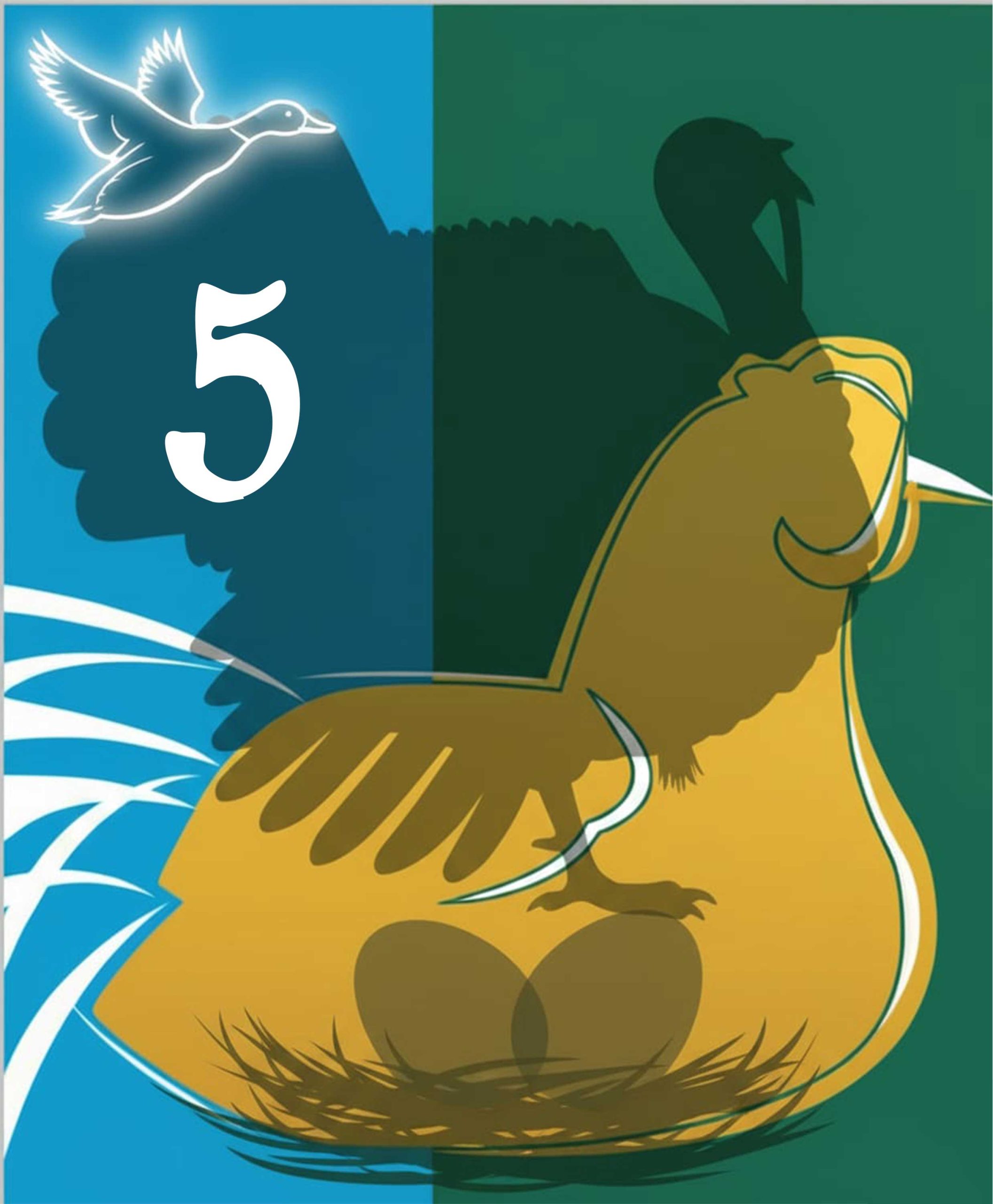 فصل پنجم - بوقلمون  Chapter Five - Turkey