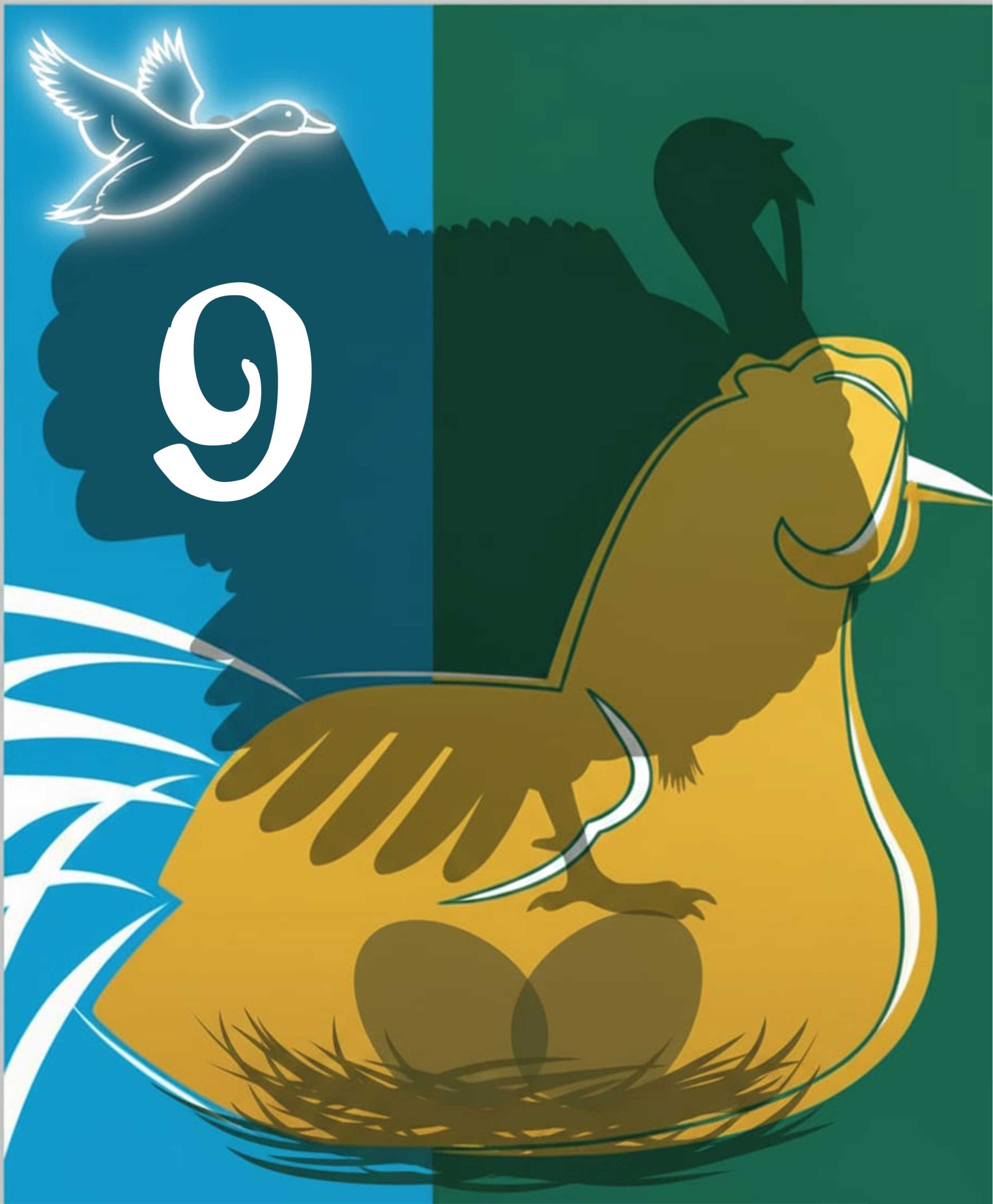 فصل نهم - دستور پخت‌های ماکیان Chapter 9 - Poultry Recipes