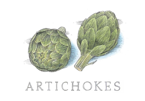 کنگر فرنگی‌ها (Artichokes)